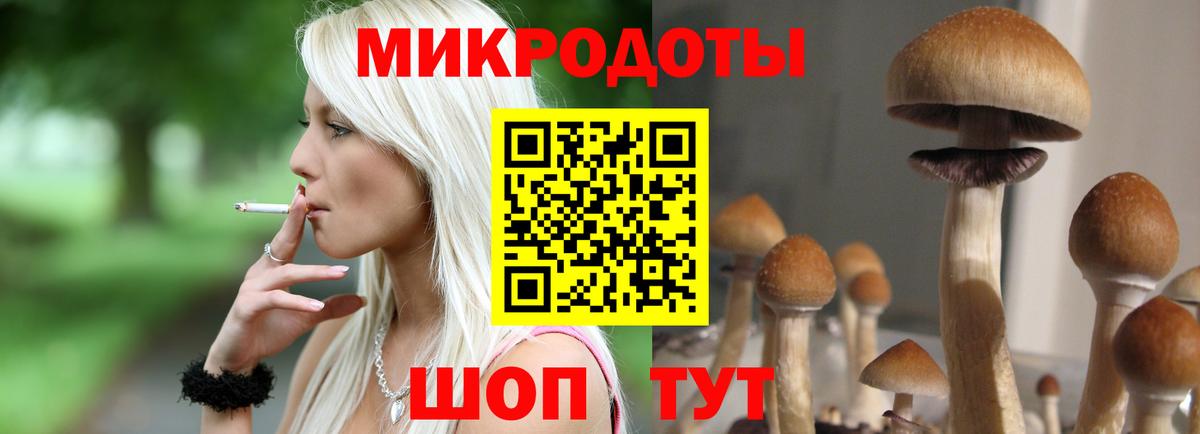 Псилоцибиновые грибы Psilocybine cubensis Артёмовский